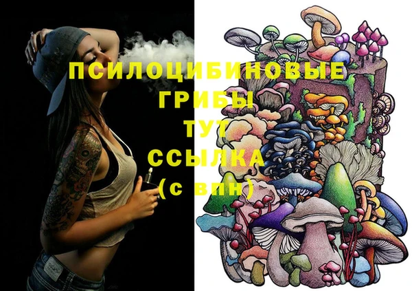 спайс Арсеньев