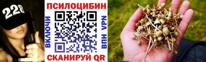 Галлюциногенные грибы мицелий наркотики Дыгулыбгей